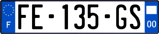 FE-135-GS