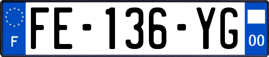 FE-136-YG