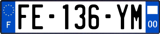 FE-136-YM