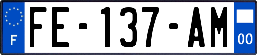 FE-137-AM