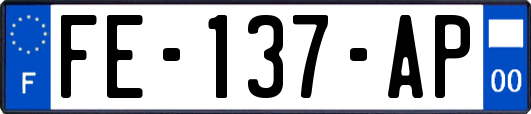 FE-137-AP