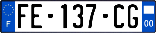 FE-137-CG
