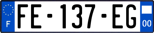 FE-137-EG