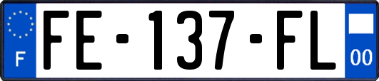 FE-137-FL