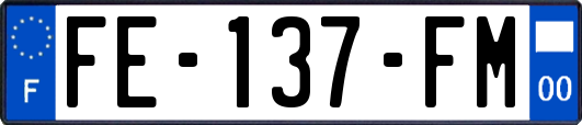 FE-137-FM