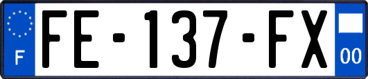 FE-137-FX