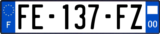 FE-137-FZ