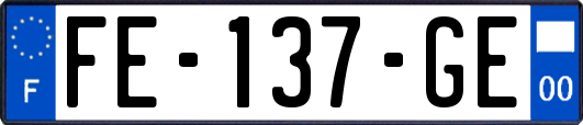 FE-137-GE