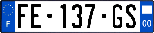 FE-137-GS
