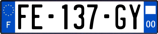 FE-137-GY