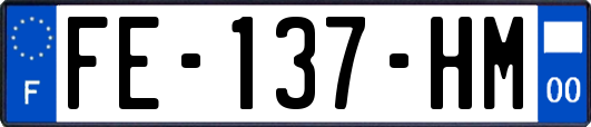 FE-137-HM