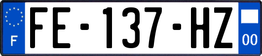 FE-137-HZ