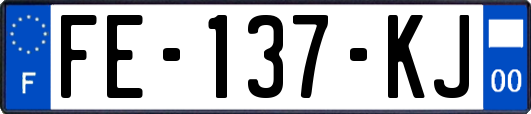 FE-137-KJ