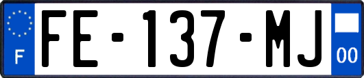 FE-137-MJ