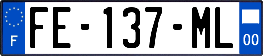 FE-137-ML