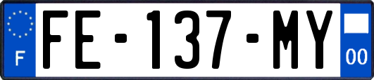 FE-137-MY