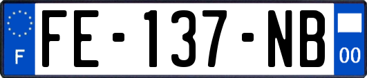 FE-137-NB