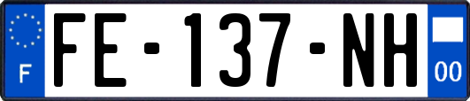 FE-137-NH