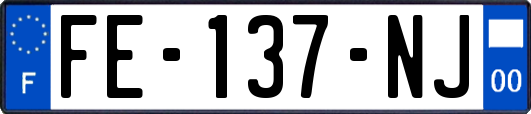 FE-137-NJ