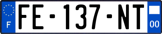 FE-137-NT