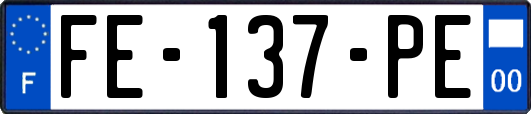 FE-137-PE