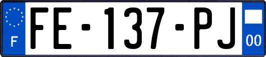 FE-137-PJ