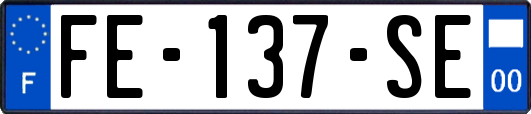 FE-137-SE