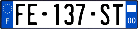FE-137-ST