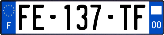 FE-137-TF