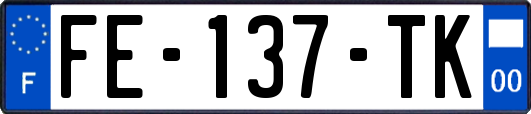 FE-137-TK