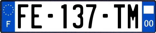 FE-137-TM