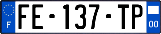 FE-137-TP