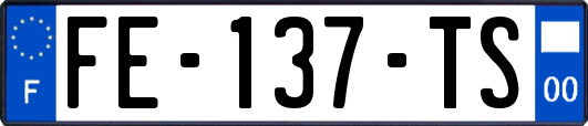 FE-137-TS