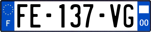 FE-137-VG