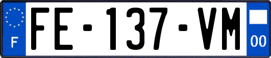 FE-137-VM