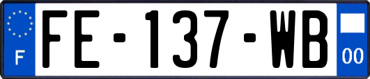 FE-137-WB