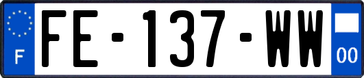 FE-137-WW