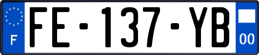 FE-137-YB