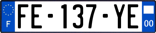 FE-137-YE