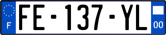 FE-137-YL