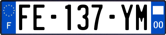 FE-137-YM