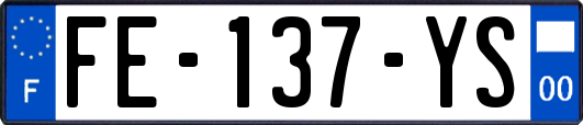 FE-137-YS