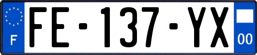 FE-137-YX
