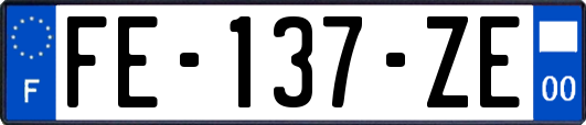 FE-137-ZE