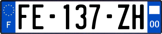 FE-137-ZH