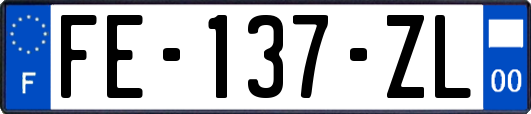 FE-137-ZL