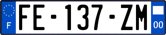 FE-137-ZM