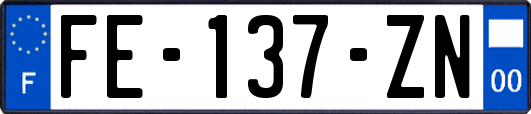 FE-137-ZN