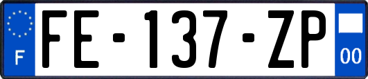 FE-137-ZP