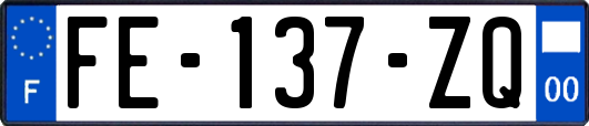 FE-137-ZQ